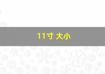 11寸 大小